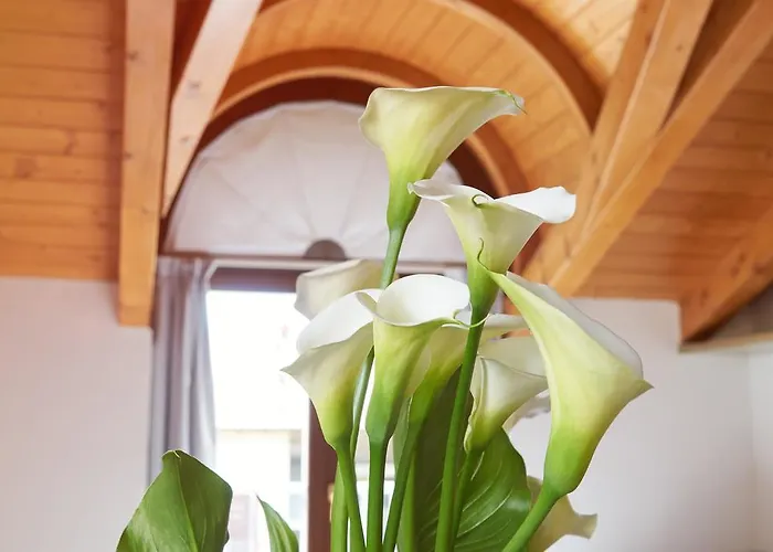 Residence Domaso 도마소