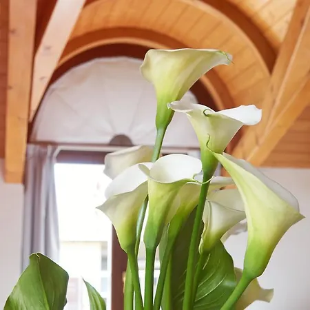 Residence Domaso דומאסו